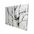 Fondo 16 x 20 in. Three Birches Trees-Print on Canvas FO2789259